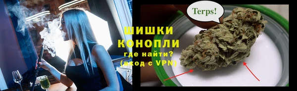 спайс Баксан