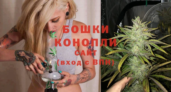 шишки Балабаново