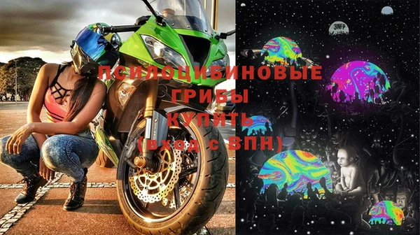 спайс Баксан