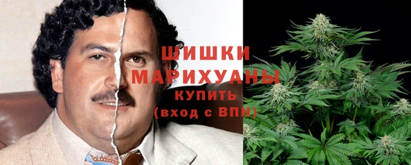спайс Баксан