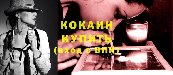 шишки Балабаново