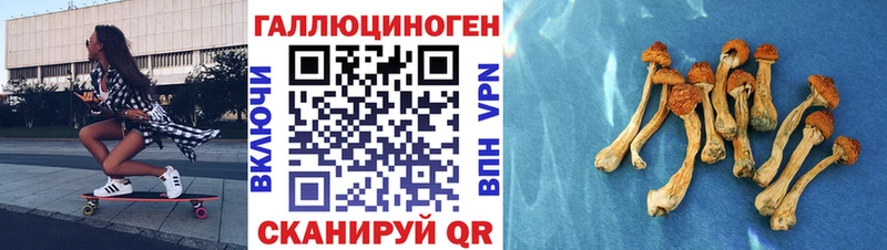 Псилоцибиновые грибы Psilocybine cubensis  Горнозаводск 